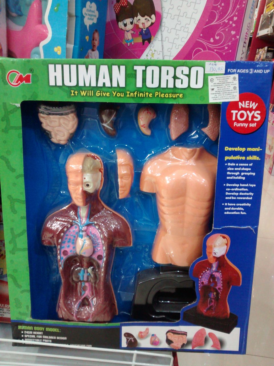 Human Torso - It Will Give You Infinite Pleasure